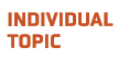 INDIVIDUAL TOPIC